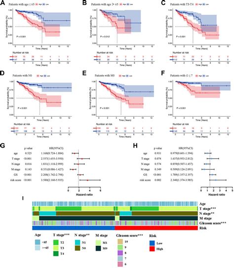 Frontiers A Cuproptosis Related Lncrna Signature Integrated Analysis