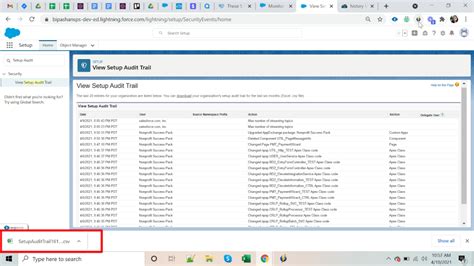 Audit Trail In Salesforce How To Setup And Use Audit Trail