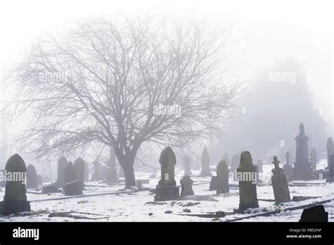 An icy graveyard in winter, shrouded in mist. Dark gravestones and ...