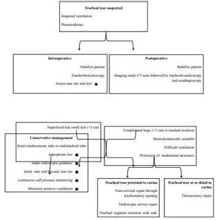 Algorithmic Approach For Diagnosis And Management Of Patient With