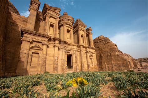 Petra Day Tour from Amman | Private history tours