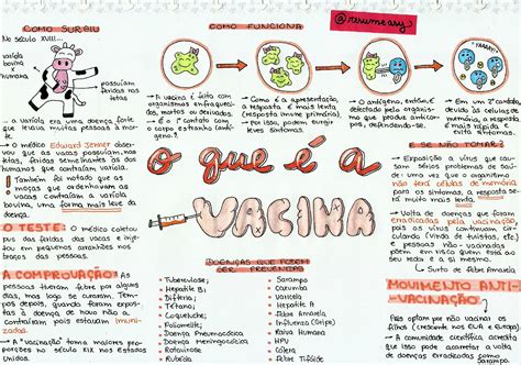Mapa Mental Sobre A Revolta Da Vacina - BRAINCP