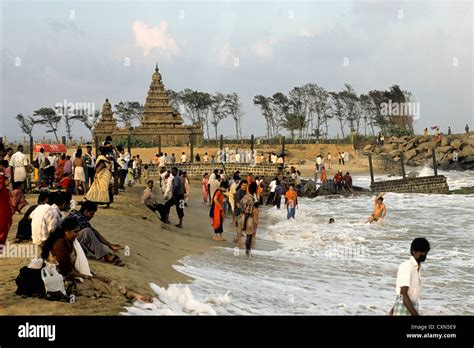 Neocon 2024 Mahabalipuram Beach - Viva Michal