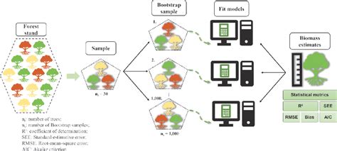 Scielo Brasil Carbon Stock And Biomass Estimate By Additive Models