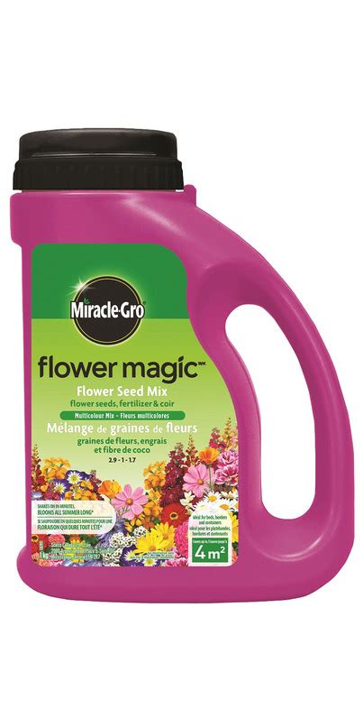 Buy Miracle Gro Flower Magic Multicolour Mix At Wellca Free Shipping