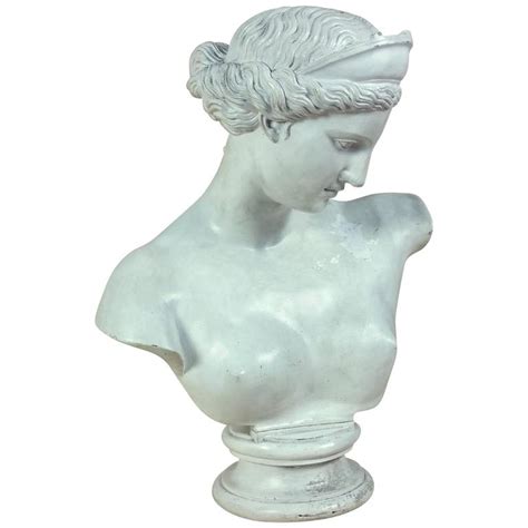 Large Th Century Plaster Bust Of Venus After The Antique At Stdibs