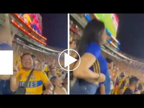 Aficionada De Tigres Twitter Video Aficionada De Tigres Viral Video