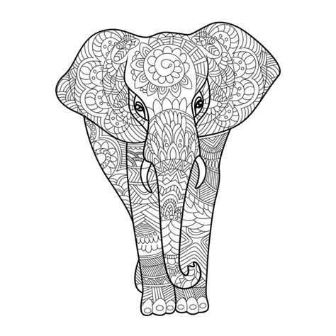 Elefante Para Colorear Libro Para Adultos Vector Vector Premium