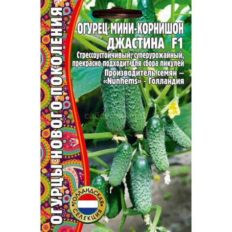 ОГУРЕЦ — Семена для Сибири