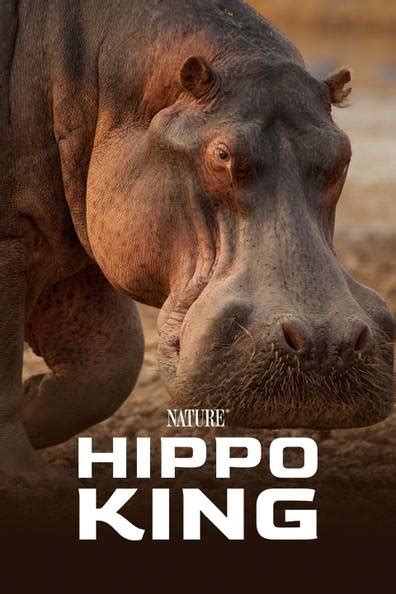 How To Watch And Stream Hippo King 2022 On Roku