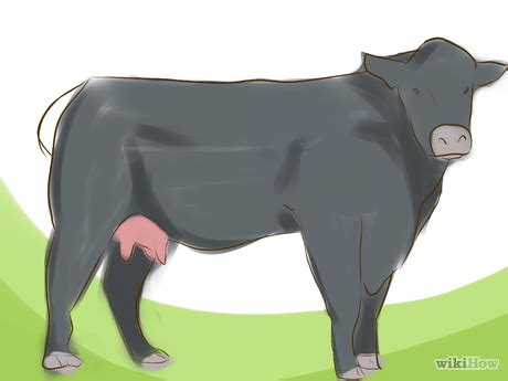 How to Identify Black Angus Cattle: 3 Steps (with Pictures)