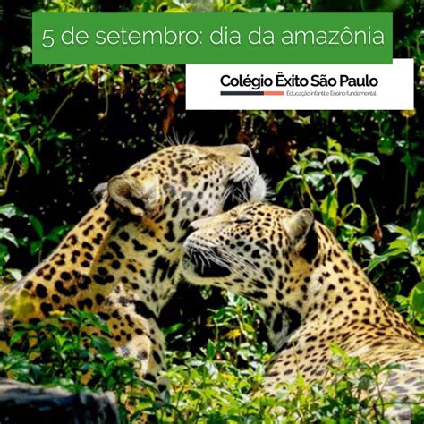 O Que É Comemorado No Dia 5 De Setembro - No dia 5 de setembro é comemorado o Dia da Amazônia, a maior reserva ...