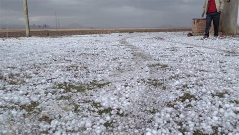 ABI Intensa granizada afecta a cultivos agrícolas y provoca muerte de