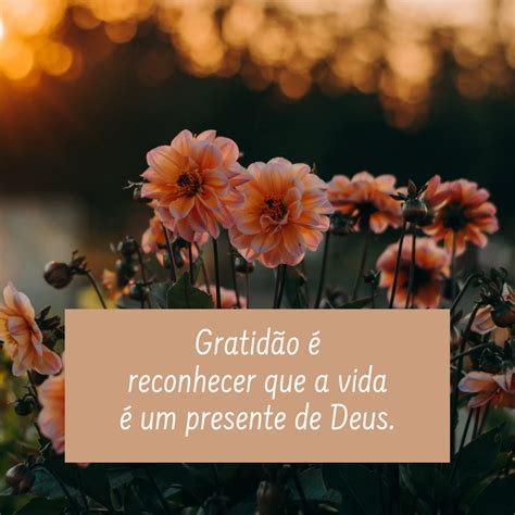 60 mensagens de gratidão a Deus para agradecer pela vida
