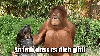 Schön Das Es Dich Gib GIFs Tenor