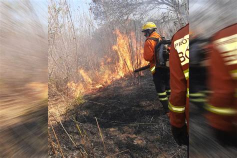 Queima De Lixo Provoca Inc Ndio E Destr I Hectares Em Parque Do Df