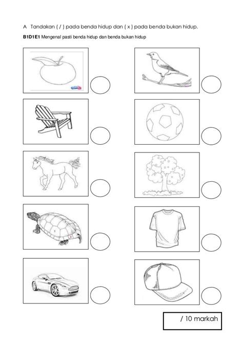 Latihan Pasti 5 Tahun Alikruwcurtis