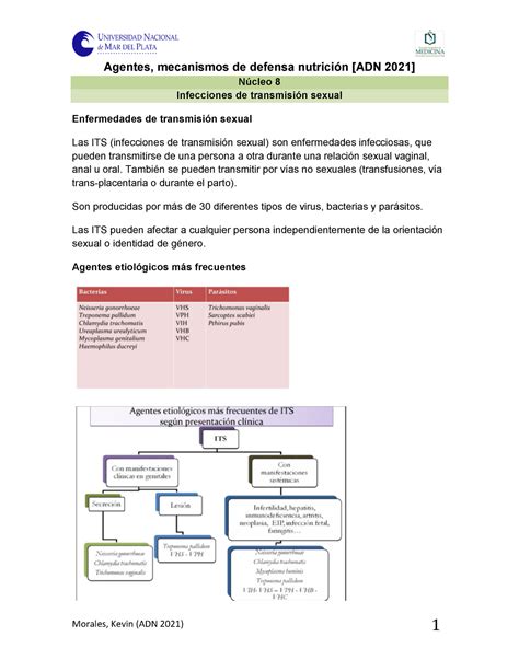 Resu Ets Seminario Morales Kevin Adn Agentes Mecanismos