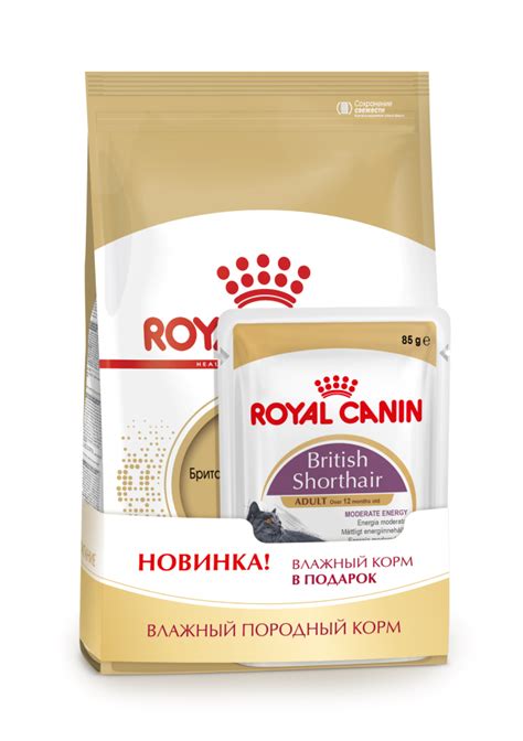 ROYAL CANIN British Shorthair (Роял Канин для британской ...