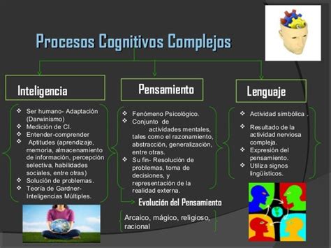 Procesos Cognitivos