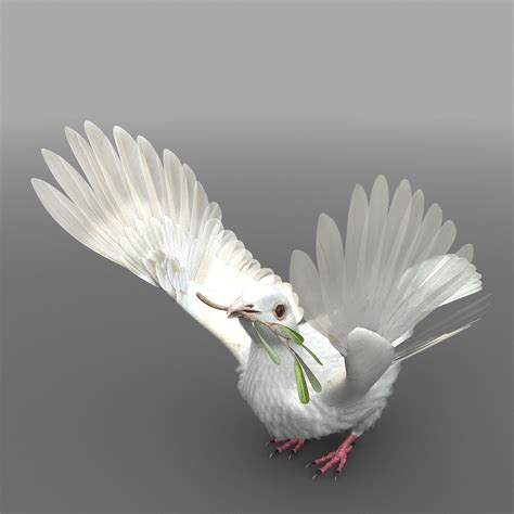 Dove 3d Model 149 Ma Obj Fbx Max Lwo C4d Free3d