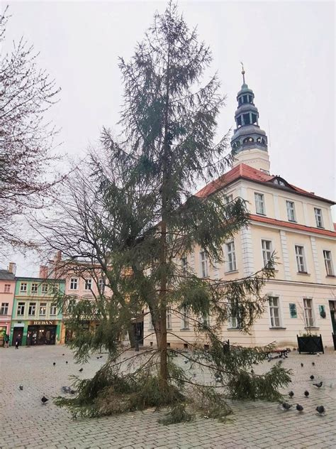 Choinka na miarę naszych czasów Demotywatory pl