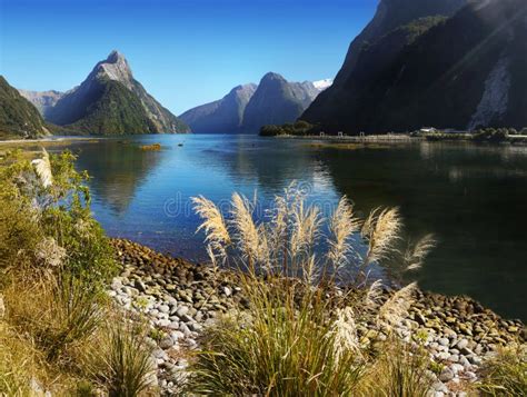 zealand scenic fjord landscape milford sound stock photo image