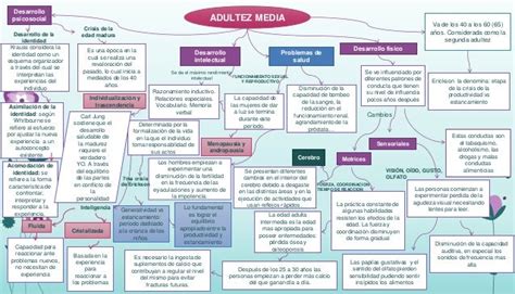 Mapa Conceptual Adultez Media