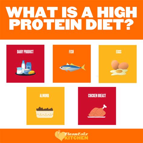 What is a High Protein Diet?