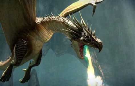 Интересные факты: самое невероятное и любопытное в мире