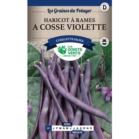 Semences Haricot à rames à cosses violette 200 gr Les Doigts