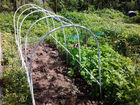 Парник для огурцов своими руками: фото, видео и инструкция