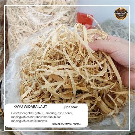 Jual Kayu Widara Laut Bidara Laut Gr Shopee Indonesia