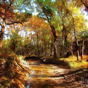 Sunny Trail Photograph By Cedric Hampton Fine Art America