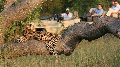 Kruger Park Travel Kruger National Park History