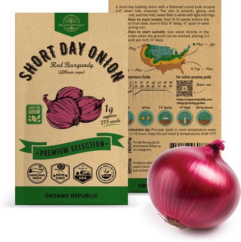 Amazon.com : Onion Red Burgundy Seeds Pack 1G - Over 275 Non-GMO