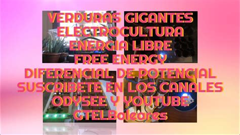 VERDURAS GIGANTES ELECTROCULTURA ENERGIA LIBRE FREE ENERGY DIFERENCIAL