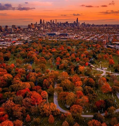 Its Officially Peak Fall Foliage In Chicago This Week