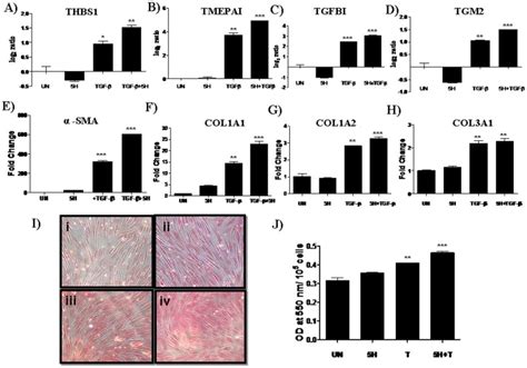 Human Gingival Fibroblast Hgf Cells Were Serum Deprived By