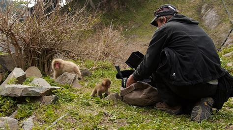 Snow Monkeys | Behind The Scenes: Making of Snow Monkeys | Nature | PBS