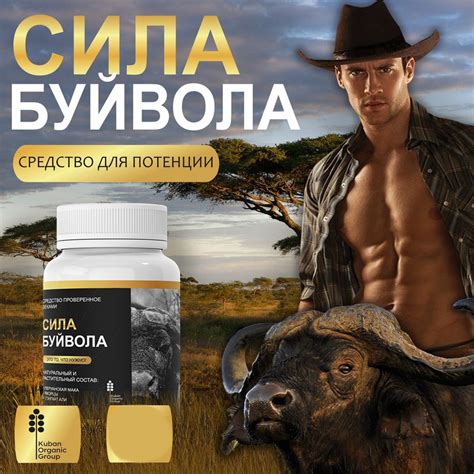 Возбудитель для мужчин Сила буйвола, для потенции у мужчин - купить с ...