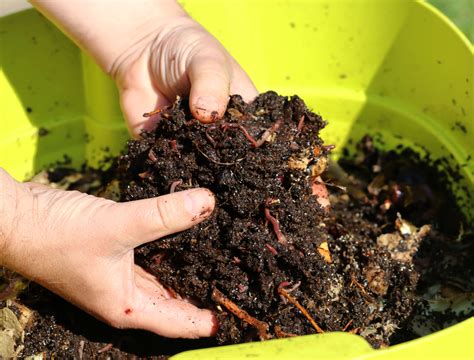 Compost vs Manure: The Best For Your Soil Health