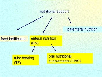 Introductory To The ESPEN Guidelines On Enteral Nutrition Terminology