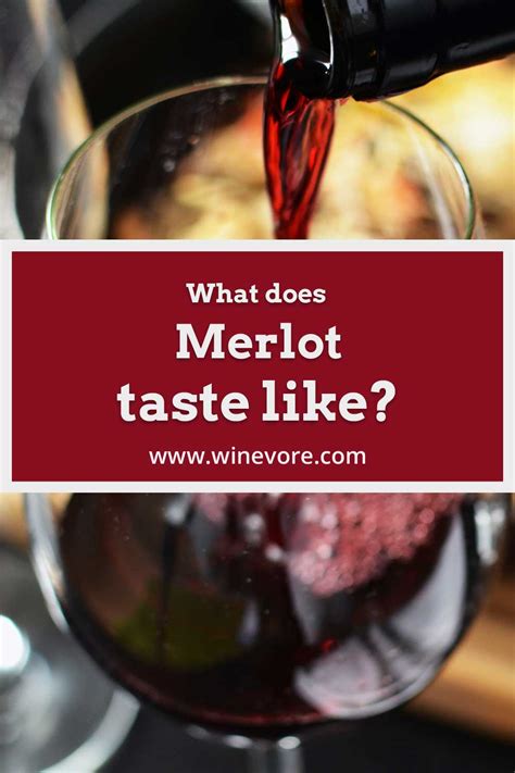 What Does Merlot Taste Like Winevore