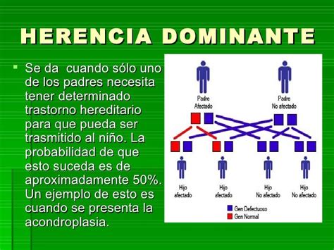 Herencia Y Maduracion 3