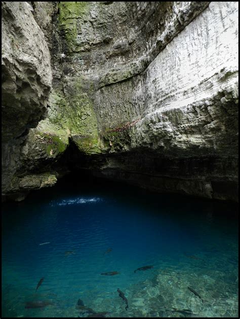 How to find the official barry county mo jail roster online 3