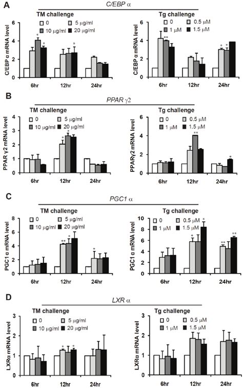 Quantitative Real Time Rt Pcr Analysis Of The Mrnas Encoding Key