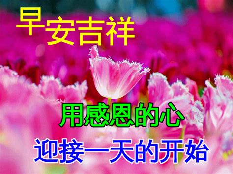 3月27日周一早安祝福语大全最新 星期一 早晨 朋友圈文案短句子 早上好 问候动图美图大全腾讯新闻