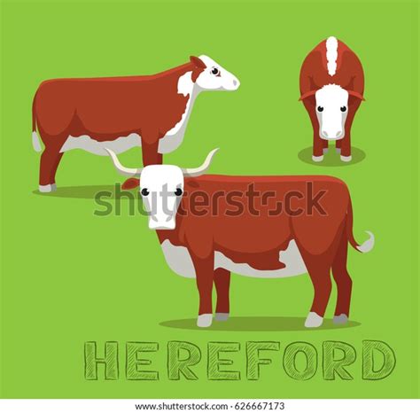 Cow Hereford Cartoon Vector Illustration Stock Vector (Royalty Free ...