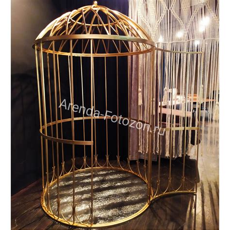 Большая золотая металлическая клетка в аренду.